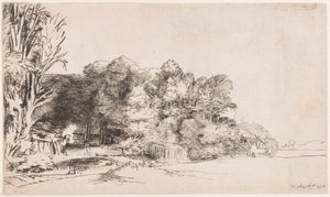 ビスタ付きの木々の群生 作： Rembrandt van Rijn