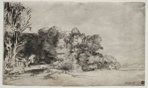 ビスタ付きの木々の群生 作： Rembrandt van Rijn