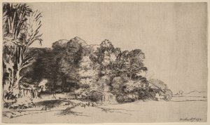 眺めの良い木々の群れ 作： Rembrandt van Rijn