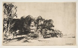 1652年のビスタと木の塊 作： Rembrandt van Rijn