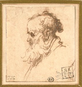左側の横顔のひげを生やした男の頭 作： Rembrandt van Rijn