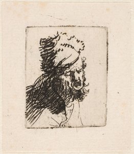  作： Rembrandt van Rijn