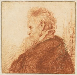 老人の頭 (直腸) 作： Rembrandt van Rijn