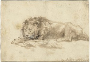 横になっているライオン（Liggend leeuw）。 1650-59 作： Rembrandt van Rijn