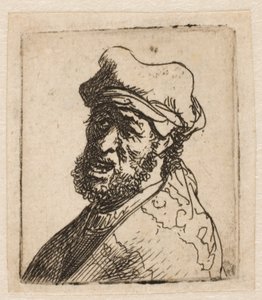  作： Rembrandt van Rijn