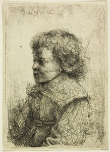 少年の肖像 作： Rembrandt van Rijn