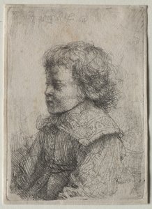 プロフィールの少年の肖像 作： Rembrandt van Rijn