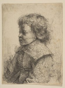 プロフィール、少年の肖像、1641年。 作： Rembrandt van Rijn