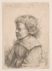 少年の横顔の肖像画 作： Rembrandt van Rijn