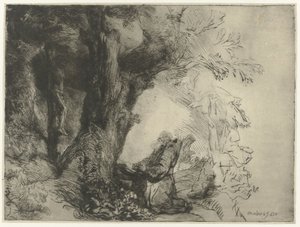 木の下で祈る聖フランチェスコ 木の下で祈る聖フランチェスコ 作： Rembrandt van Rijn