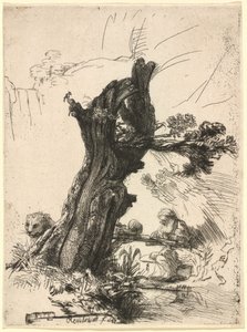 ポラード柳のそばの聖ヒエロニムス 作： Rembrandt van Rijn
