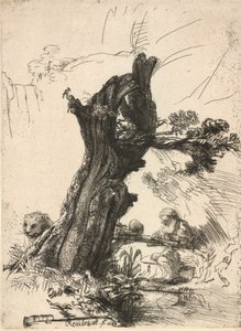 ポラード柳のそばの聖ジェローム、1648年。 作： Rembrandt van Rijn