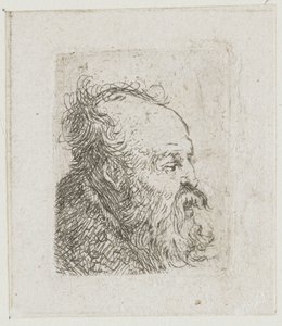  作： Rembrandt van Rijn