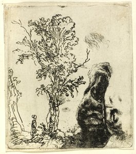 2 つの習作のあるシート: 木と、ベルベットの帽子をかぶった芸術家の頭の上部 作： Rembrandt van Rijn