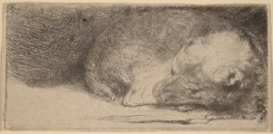  作： Rembrandt van Rijn