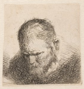  作： Rembrandt van Rijn