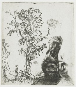  作： Rembrandt van Rijn