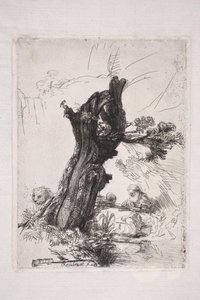 柳の木の幹のそばで執筆する聖ヒエロニムス 作： Rembrandt van Rijn