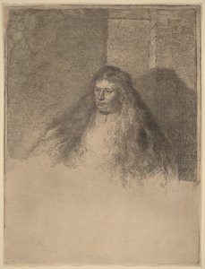  作： Rembrandt van Rijn