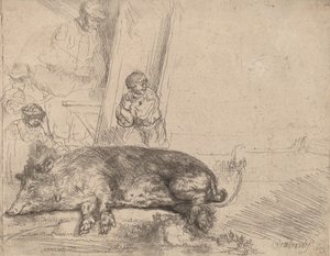ホッグ、1643年。 作： Rembrandt van Rijn