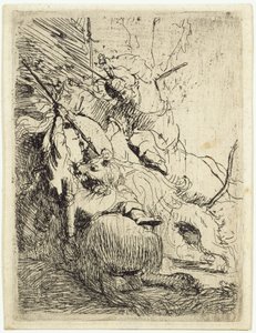  作： Rembrandt van Rijn