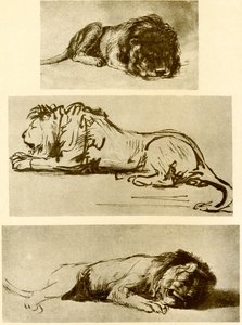 3つのライオンの研究 作： Rembrandt van Rijn