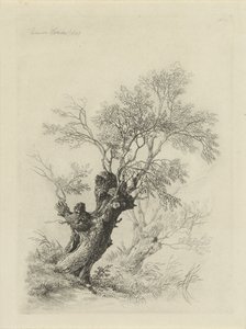 柳の木 作： Remigius Adrianus Haanen