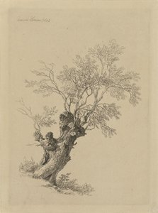 柳の木 作： Remigius Adrianus Haanen