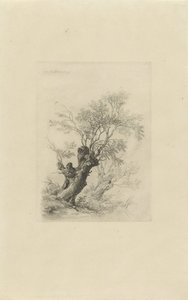 柳の木 作： Remigius Adrianus Haanen
