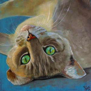 猫の運 作： Renate Dohr