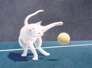 バウンス