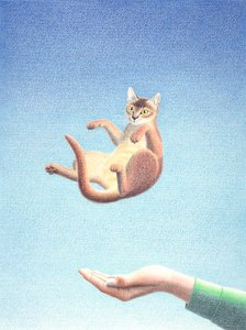 キャッチ 作： Rene Boin