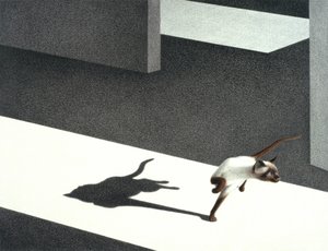 コーナー 作： Rene Boin