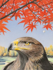 イーグル、2015年、紙に色鉛筆画