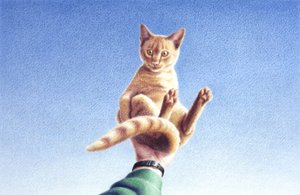 ハンドフル 作： Rene Boin
