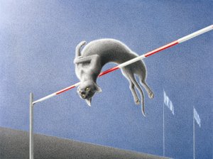 ジャンプ 作： Rene Boin