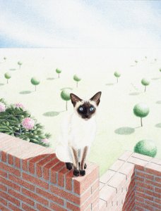 サケ