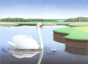 スプラッシュ 作： Rene Boin