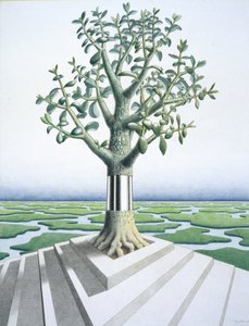 多肉植物 作： Rene Boin
