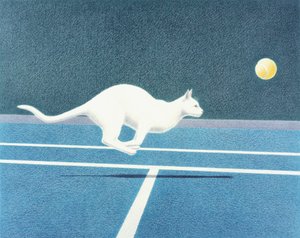 テニス