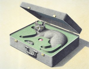トラベルケース1 作： Rene Boin