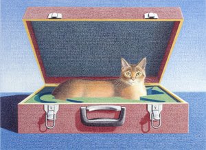 トラベルケース2 作： Rene Boin