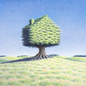 ツリーハウス 作： Rene Boin