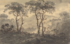 山の風景の中のモミの木