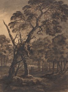 Forest Scene   1442137   ja       japanese Successfully Translated  Original: Evening Pasture Translat: Evening Pasture 1432097 ja japanese Successfully Translated Original: Portrait of Chinese Communist revolutionary and the founding father of the Peoples 作： Rev. William Gilpin