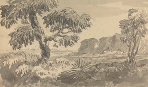 二本の木と崖のある風景 作： Rev. William Gilpin
