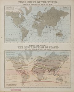 潮見表と世界の植物の分布図（1850年頃 作： John Pardon