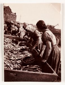 釣り、漁師たち 魚を捌く女性たち、ウィットビー港、ノースヨークシャー、1905年頃 作： John Pardon