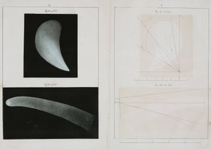 ハレー彗星（1835年10月 作： John Pardon