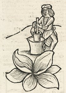 乳棒と乳鉢を使って植物を粉砕する中世人 作： John Pardon